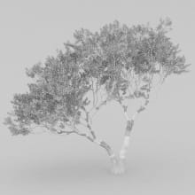 AM210_wire_038