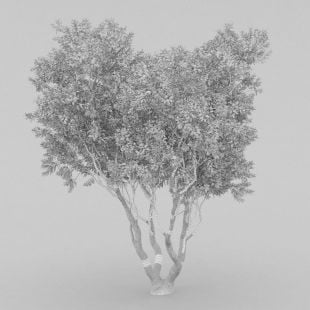 AM210_wire_039