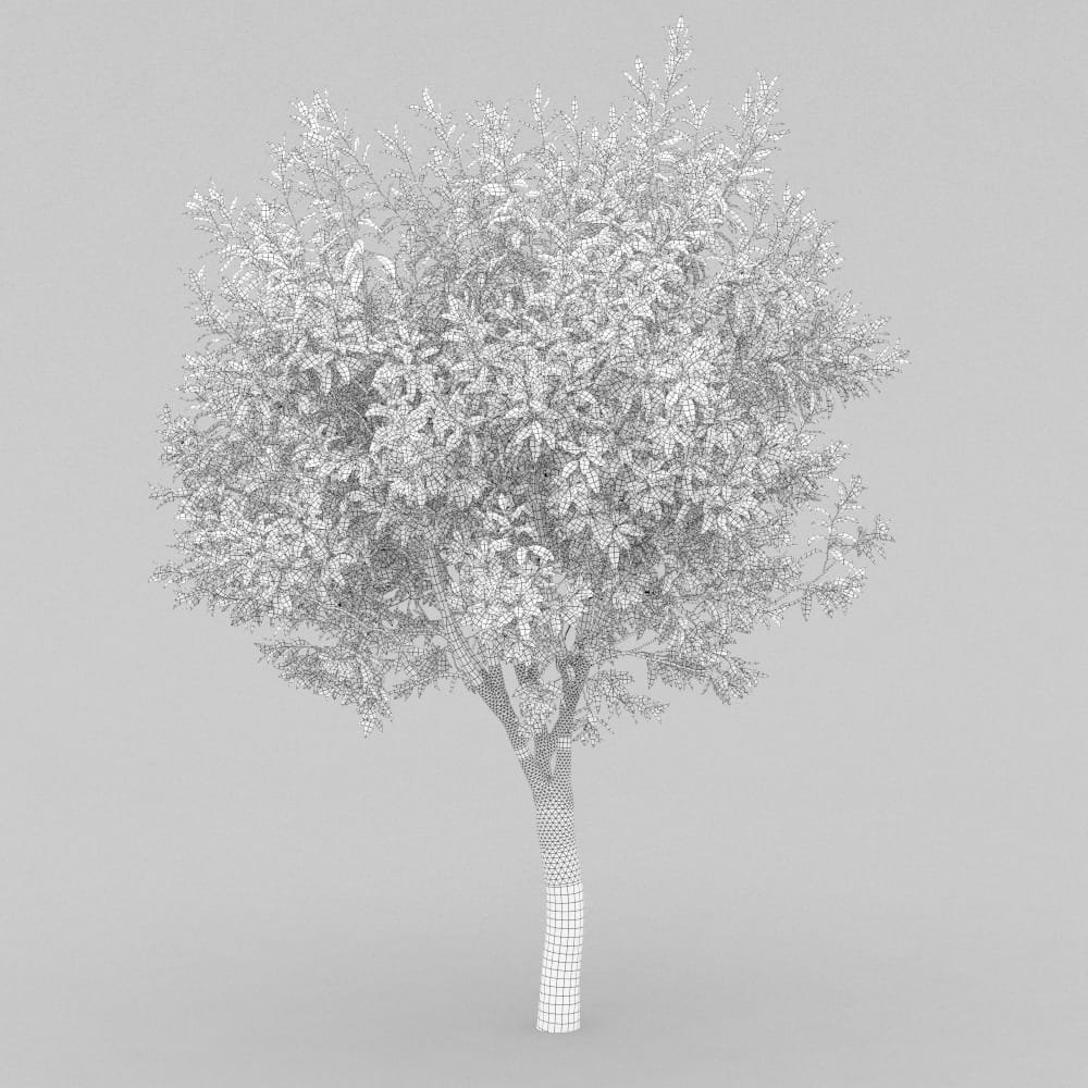 AM210_wire_040