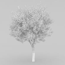 AM210_wire_040