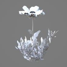 AM214_013_Gailardia_grandiflora_1