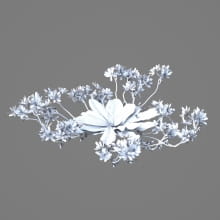 AM214_016_Lewisia_longipetala_1