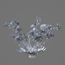 AM214_017_Lewisia_longipetala_1