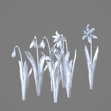 AM214_028_Scilla_1