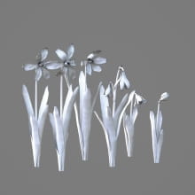AM214_029_Scilla_1