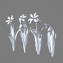 AM214_030_Scilla_1