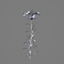 AM214_032_lilium_1