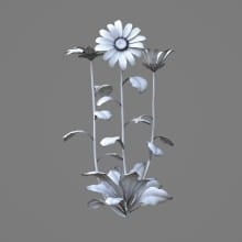 AM214_039_Bellis_1