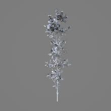 AM214_049_Godetia_grandiflora_1
