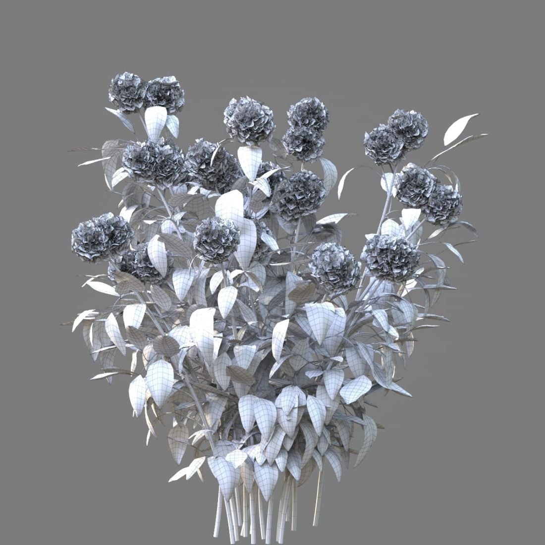 AM214_058_Hydrangea_1