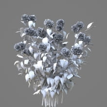 AM214_058_Hydrangea_1