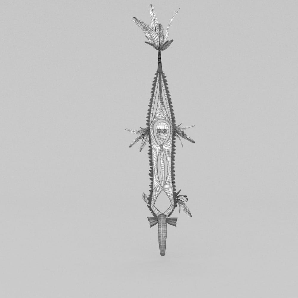 AM221_04_wire