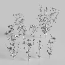 AM235_005_Cosmos_wire