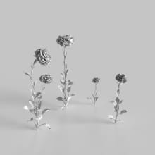 AM235_007_Aster_wire