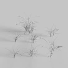 AM235_011_Dactylis_wire