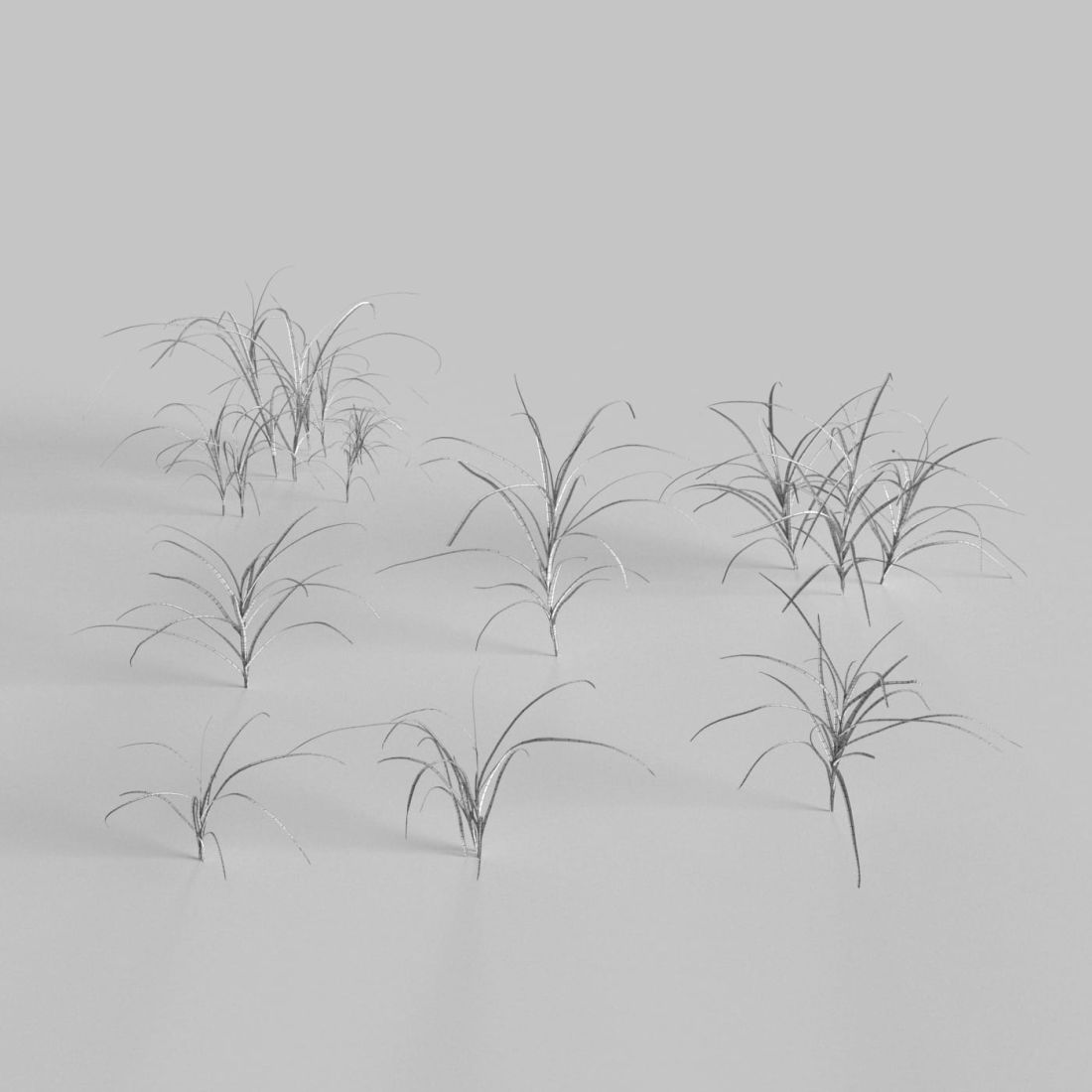 AM235_012_Dactylis_wire