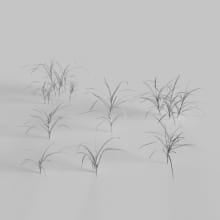AM235_012_Dactylis_wire