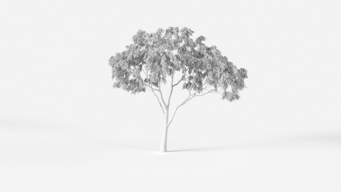 AM2387_Eucalyptus_Wire