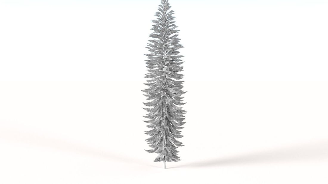AM238_033_Wollemia_nobilis_Wire