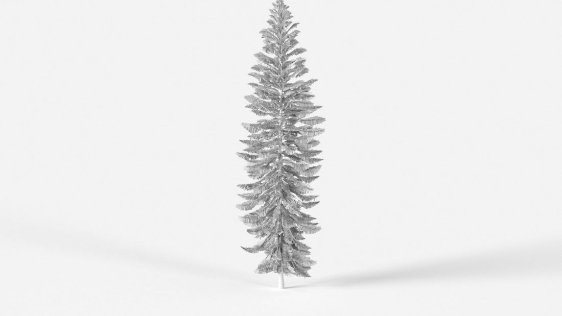 AM238_034_Wollemia_nobilis_Wire