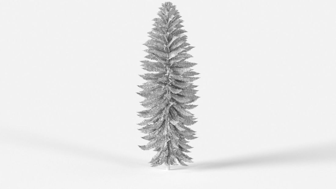 AM238_035_Wollemia_nobilis_Wire