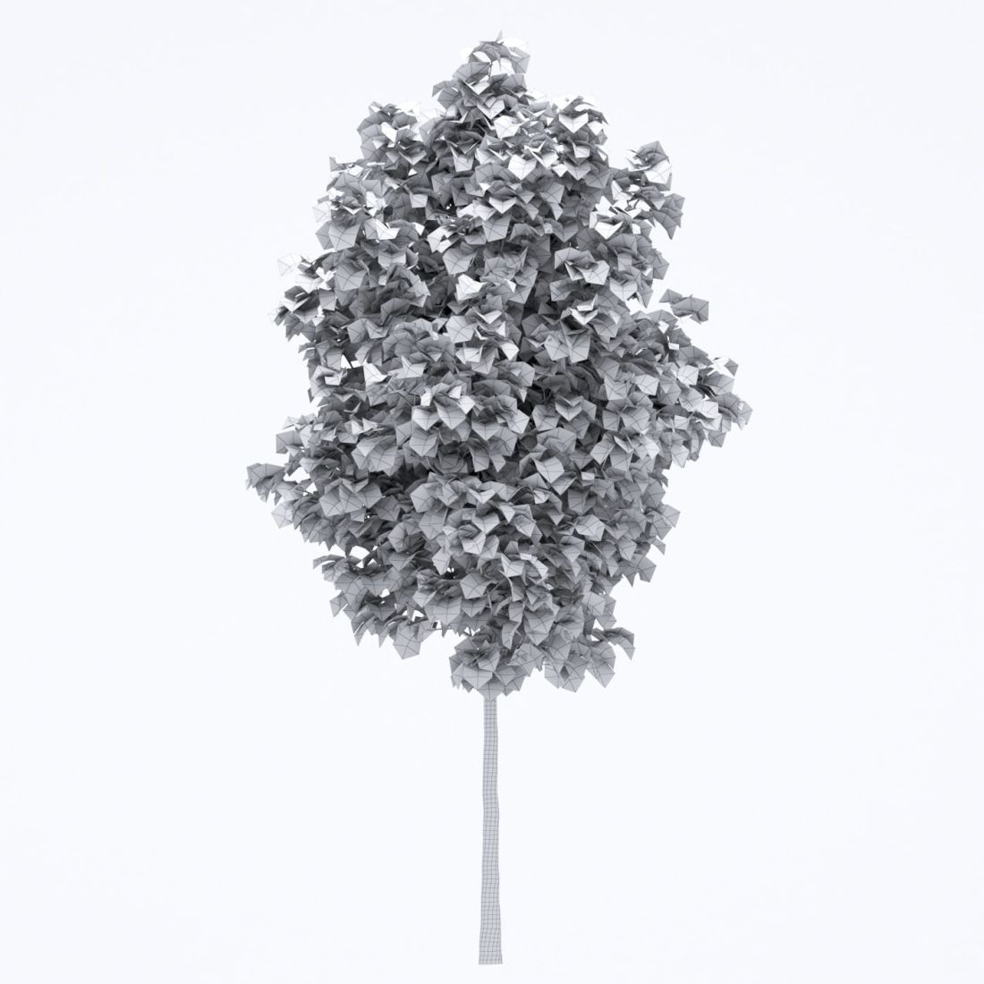 AM250_011_Robinia_wire