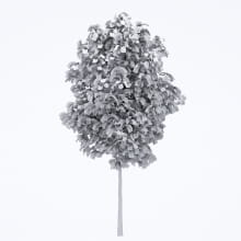 AM250_012_Robinia_Autumn_wire