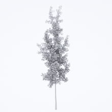 AM250_014_Ginkgo_Biloba_Autumn_wire