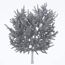 AM250_023_Ginkgo_Biloba_wire