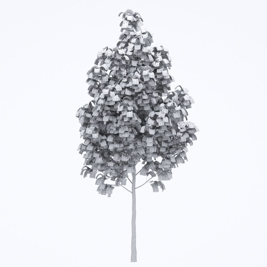 AM250_039_Acer_wire