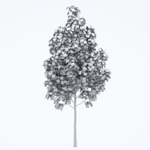 AM250_039_Acer_wire