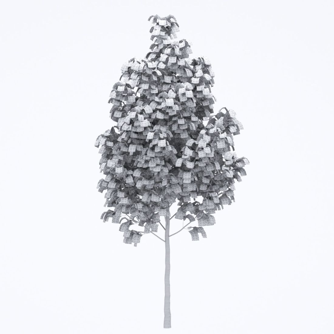 AM250_040_Acer_Autumn_wire