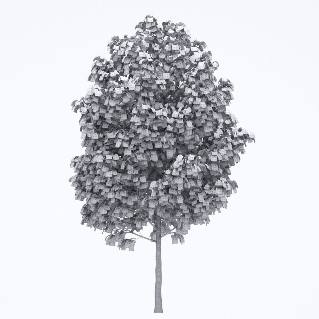 AM250_041_Acer_wire