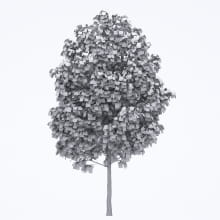 AM250_041_Acer_wire