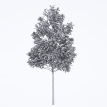 AM250_049_Fraxinus_wire