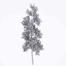 AM250_061_American_Sycamore_wire
