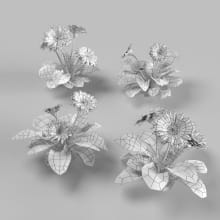 AM252_003_Gerbera_wire