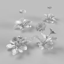 AM252_004_Gerbera_wire