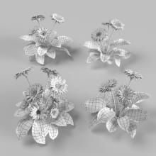 AM252_005_Gerbera_wire