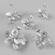 AM252_006_Gerbera_wire