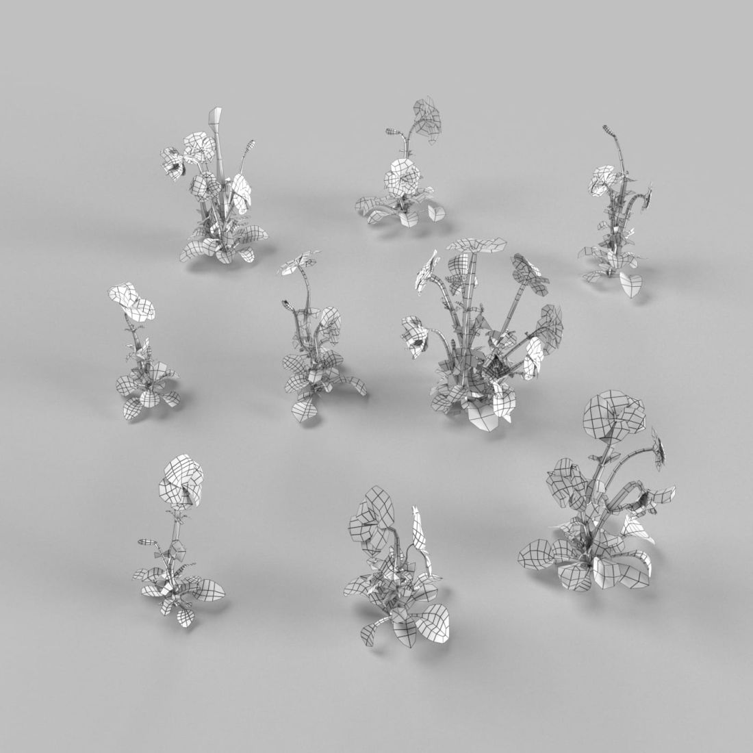 AM252_007_Viola_wire