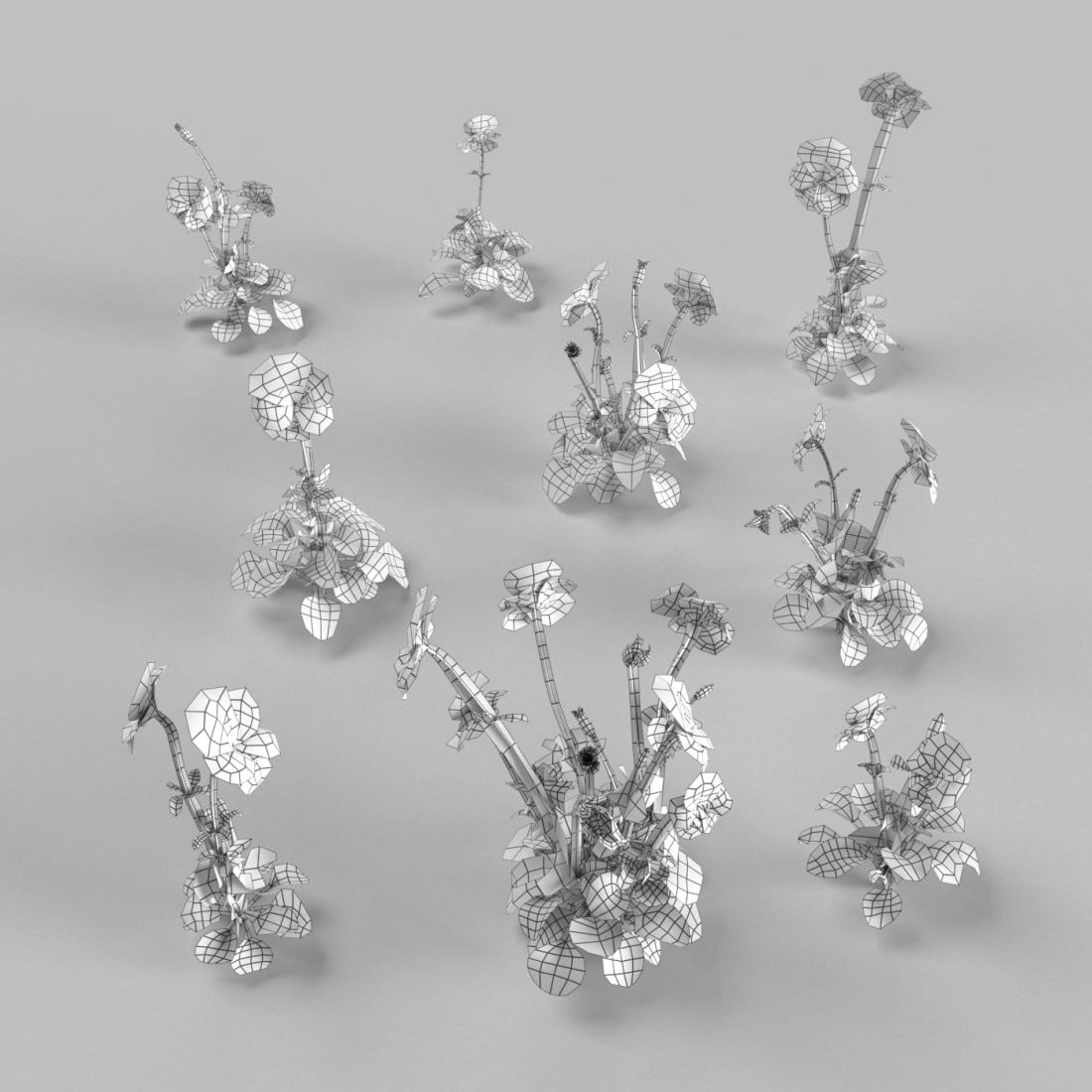 AM252_008_Viola_wire