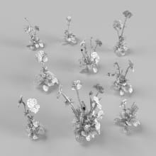 AM252_008_Viola_wire