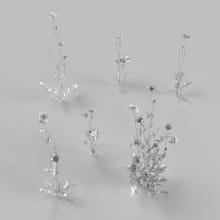 AM252_012_Papaver_wire