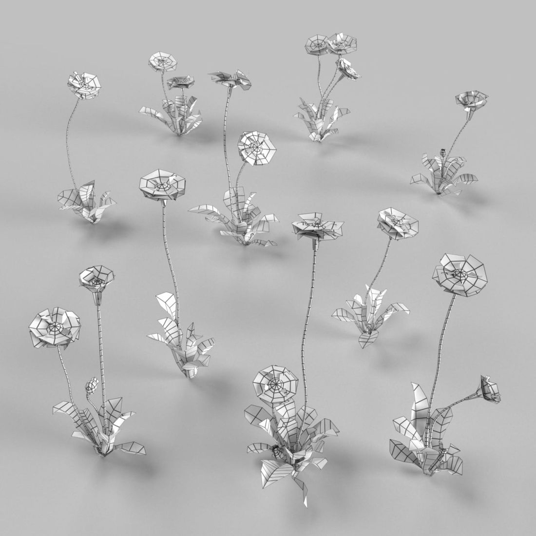 AM252_014_Bellis_wire