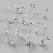 AM252_014_Bellis_wire