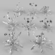 AM252_015_Taraxacum_wire