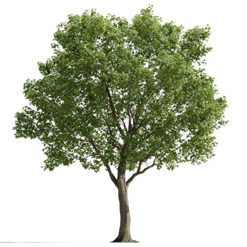 Acer 14 AM255 Archmodels