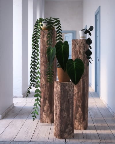 plant 36 AM260 Archmodels