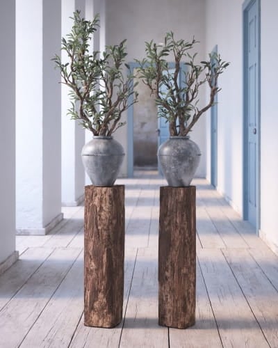plant 3 AM260 Archmodels